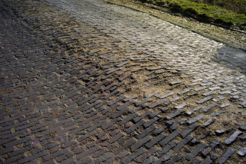 Old road in the Teufelsmoor near Worpswede