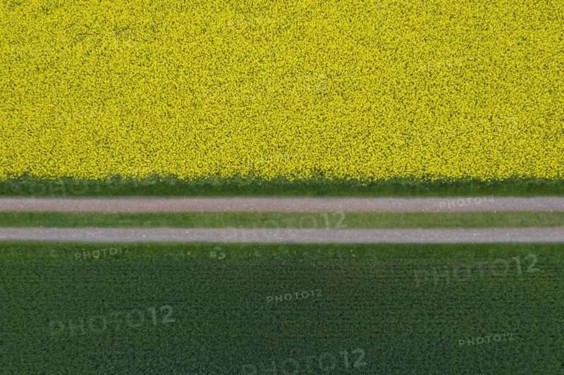 Aerial view over farmland with dirt road