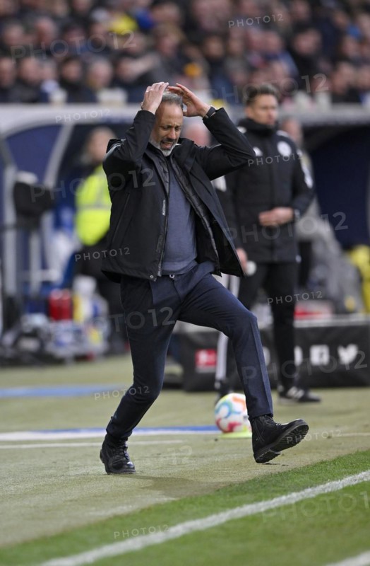 Coach Pellegrino Matarazzo TSG 1899 Hoffenheim