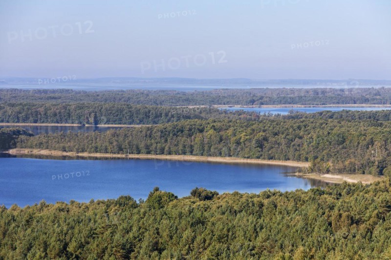 View over Priesterbaeker See
