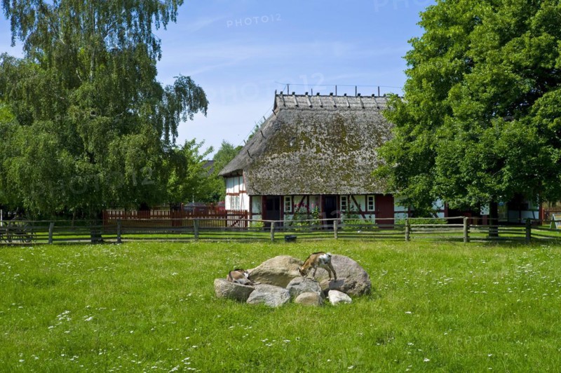 In the Klockenhagen Open-Air Museum