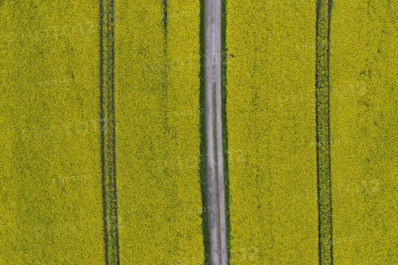 Aerial view over farmland with dirt road