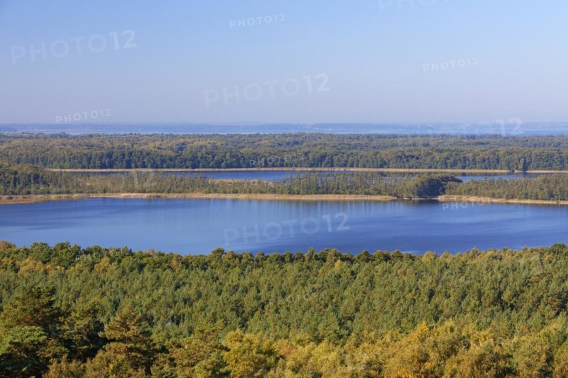 View over Priesterbaeker See