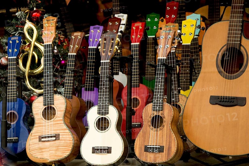 Set of Colorful classical guitar models in view