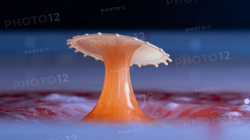 Macro Photography Water Drops