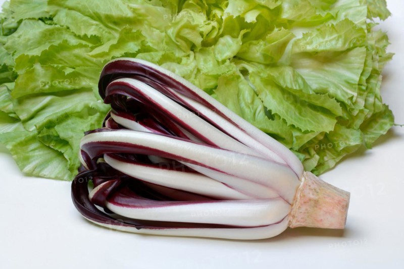 Radicchio in front of endive, Cicorino rosso Tardivo