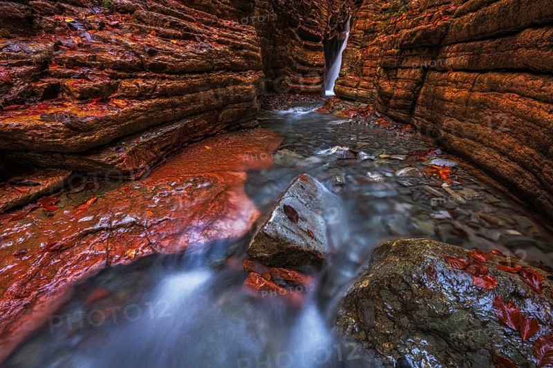 The Taugl in the Davidgraben, Red Canyon, Tennegau, Salzburger Land, Austria, Europe