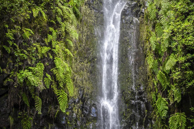 River and waterfall Cascata das 25 Fontes, long exposure, Rabacal, Paul da Serra, Madeira, Portugal, Europe