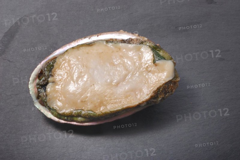 Abalone