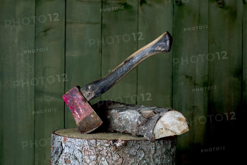 Axe on chopping block with log in front of green wooden wall, studio shot, Germany, Europe