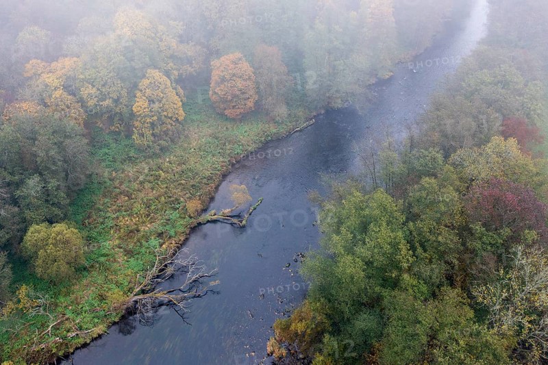 Foggy atmosphere, River Thaya in autumn, National Park Thayatal, Hardegg, Lower Austria, Austria, Europe