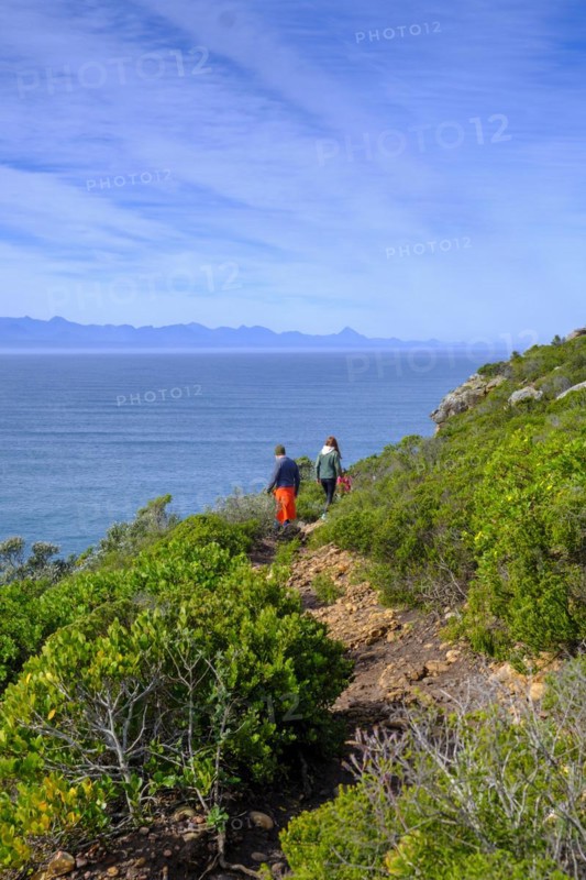Hikers on Robberg Island, Robberg Peninsula, Robberg Nature Reserve, Plettenberg Bay, Garden Route, Western Cape, South Africa, Africa