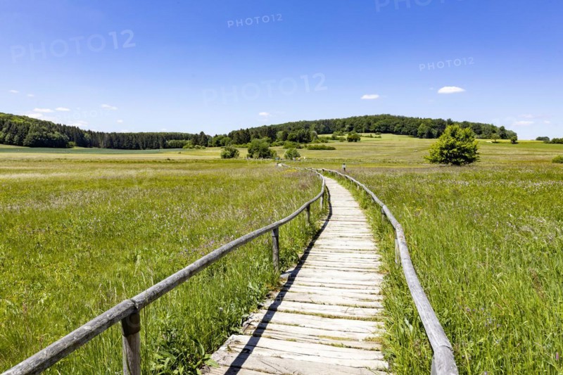 Schopflocher Torfmoor, the only larger raised bog in the Swabian Alb, threshold path through the nature reserve, Lenningen, Baden-Wuerttemberg, Germany, Europe