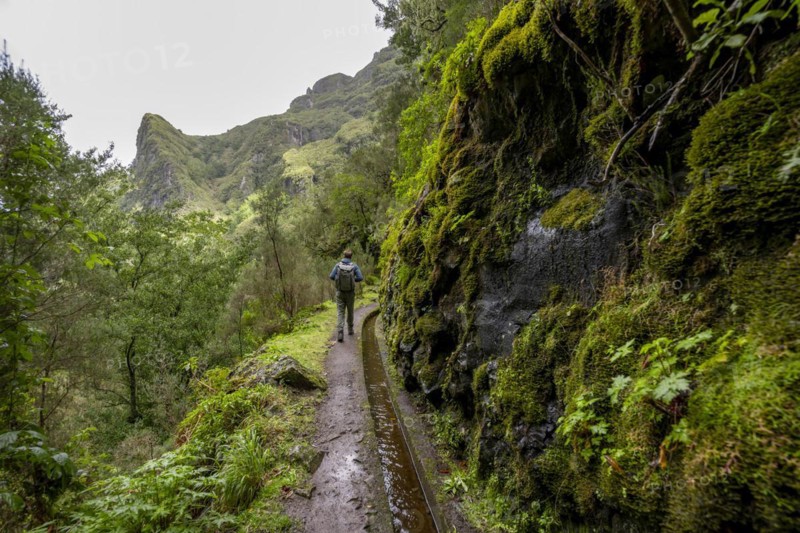 Hikers on a narrow path along a levada, forested mountains and ravines, Levada do Caldeirao Verde, Parque Florestal das Queimadas, Madeira, Portugal, Europe