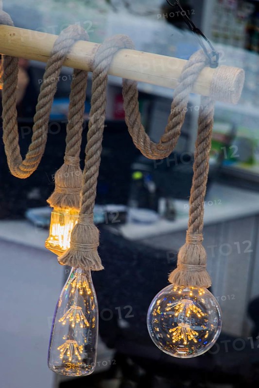 Decorative style filament light bulbs in view
