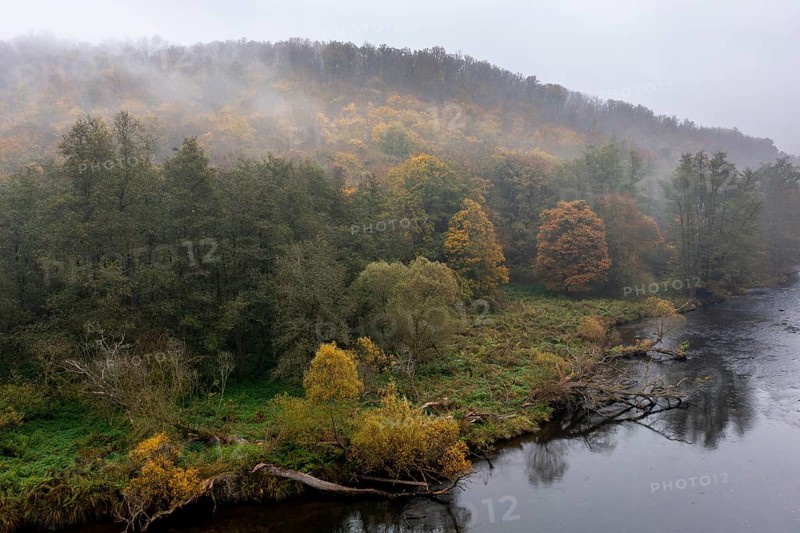 Foggy atmosphere, River Thaya in autumn, National Park Thayatal, Hardegg, Lower Austria, Austria, Europe
