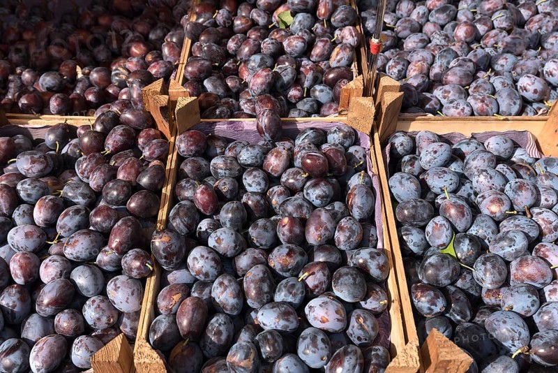 Fresh plums at the weekly market market, Lueneburg, Lower Saxony, Germany, Europe