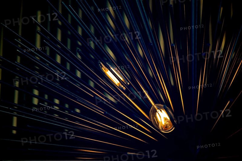 Decorative style filament light bulbs in view