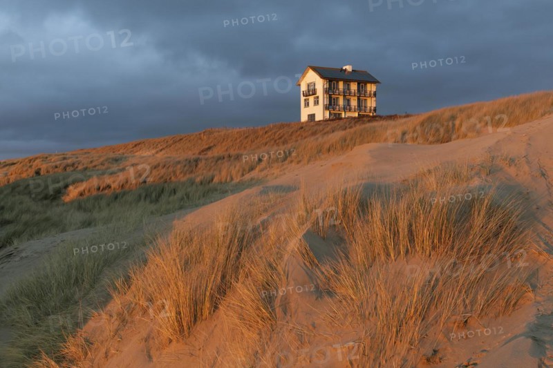 Single house on the dune in the evening light, Dutch North Sea coast, Bergen aan Zee, province North Holland, Netherlands