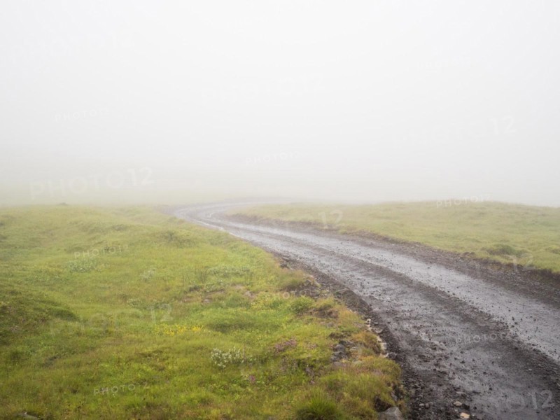 Rough track in the fog, moss-covered volcanic landscape, Laki Crater or Lakagigar, Highlands, South Iceland, Suourland, Iceland, Europe