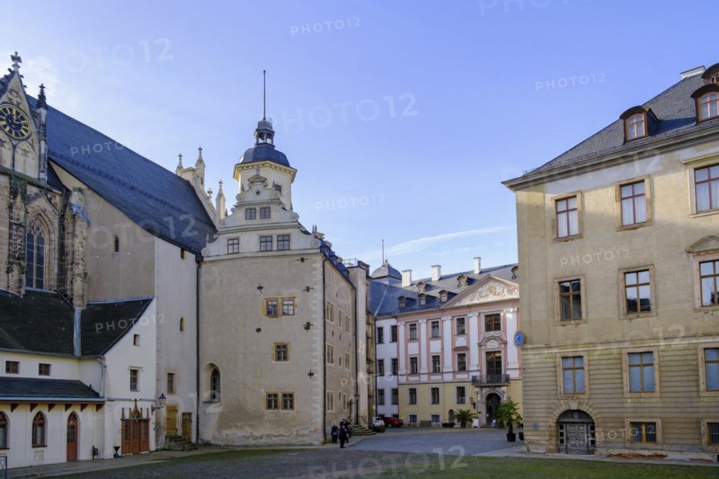 Playing Card Museum, Skat Museum, Inner Courtyard, Altenburg Castle, Altenburg, Thuringia, Germany, Europe