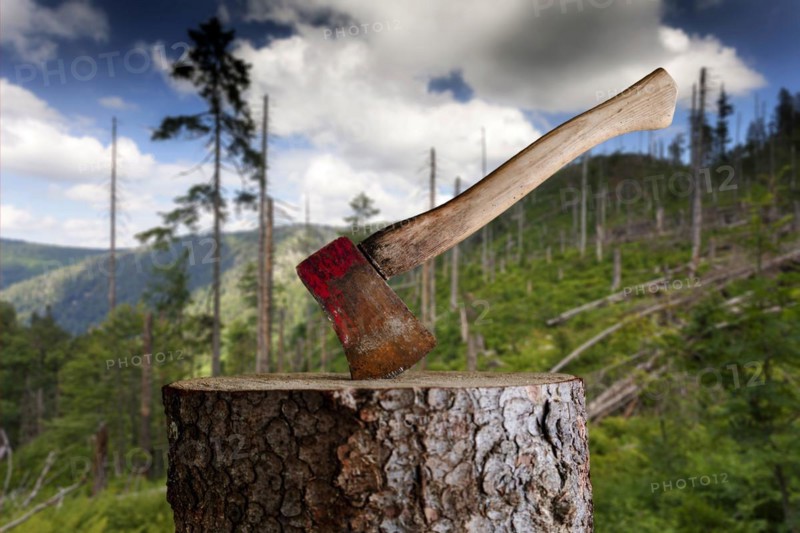 Axe on chopping block in front of damaged forest, Black Forest, Baden-Wuerttemberg, Composing, Germany, Europe