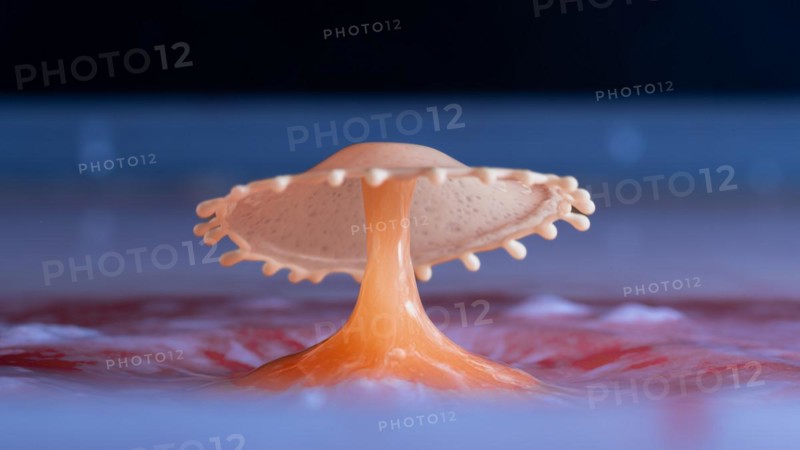 Macro Photography Water Drops