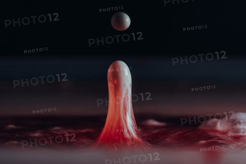 Macro Photography Water Drops