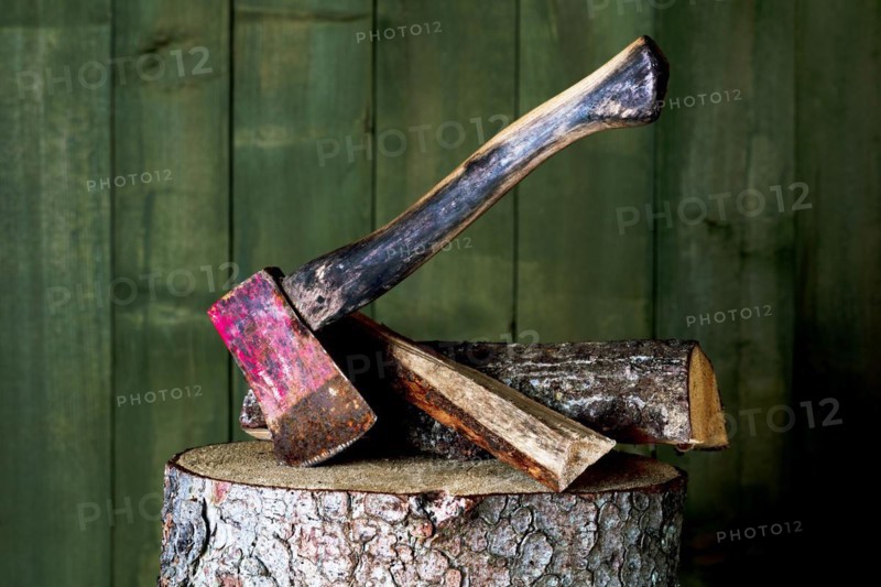 Axe on chopping block with log in front of green wooden wall, studio shot, Germany, Europe