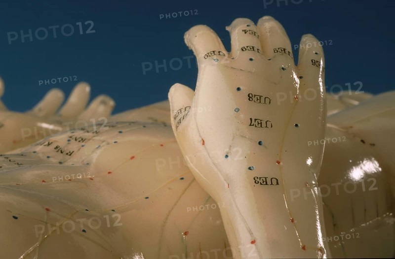 Acupuncture, acupuncture points of the human body, shown on a practice dummy for alternative practitioners