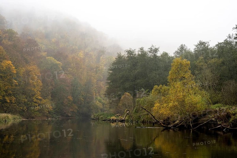 Foggy atmosphere, River Thaya in autumn, National Park Thayatal, Hardegg, Lower Austria, Austria, Europe
