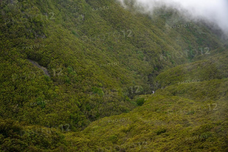 Green forest and hills of Rabacal, Paul da Serra, Madeira, Portugal, Europe