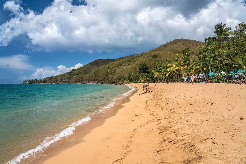 At the beach Plage de Grande Anse near Deshaies in the north of Basse-Terre, Guadeloupe, France, North America