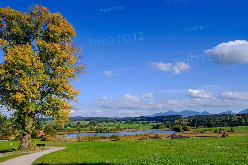 Froschhauser See near Froschhausen, Pfaffenwinkel, Upper Bavaria, Bavaria, Germany, Europe