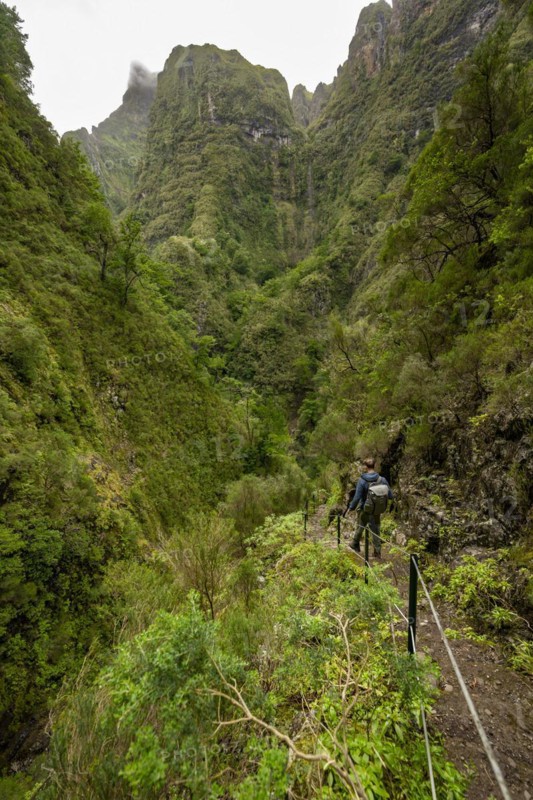 Hikers on a narrow path along a levada, forested mountains and ravines, Levada do Caldeirao Verde, Parque Florestal das Queimadas, Madeira, Portugal, Europe