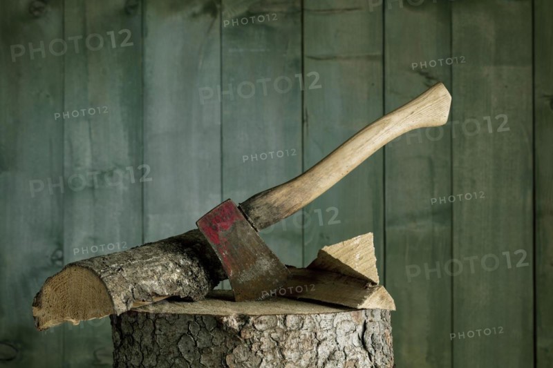Axe on chopping block with log in front of green wooden wall, studio shot, Germany, Europe