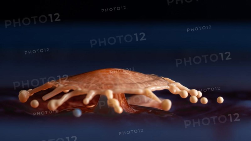 Macro Photography Water Drops