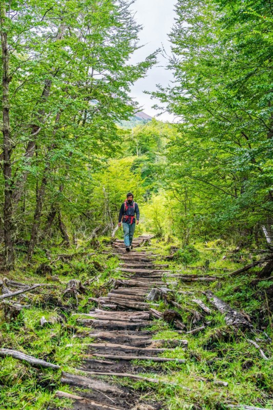 Man walking on a path made of old wooden planks to the lagoon at Cerro Castillo mountain, Cerro Castillo National Park, Aysen, Patagonia, Chile, South America