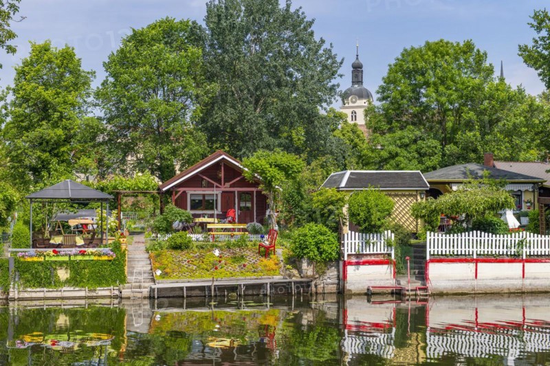 Allotment gardens on the cathedral island, Brandenburg an der Havel, Brandenburg, Germany, Europe