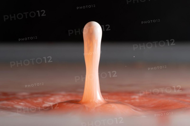 Macro Photography Water Drops