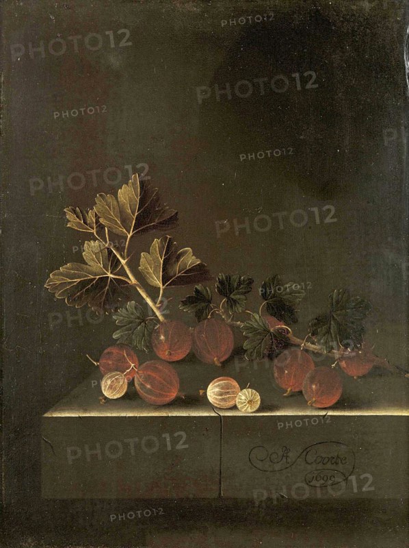 A Gooseberry Branch on a Stone Pedestal, Gooseberries, Painting by Adriaen Coorte