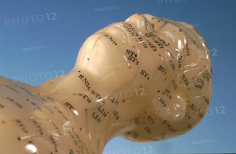 Acupuncture, acupuncture points of the human body, shown on a practice dummy for alternative practitioners