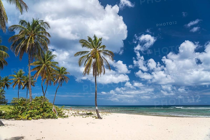 On the beach Plage de la Chapelle, Anse Bertrand, Grande-Terre, Guadeloupe, France, North America