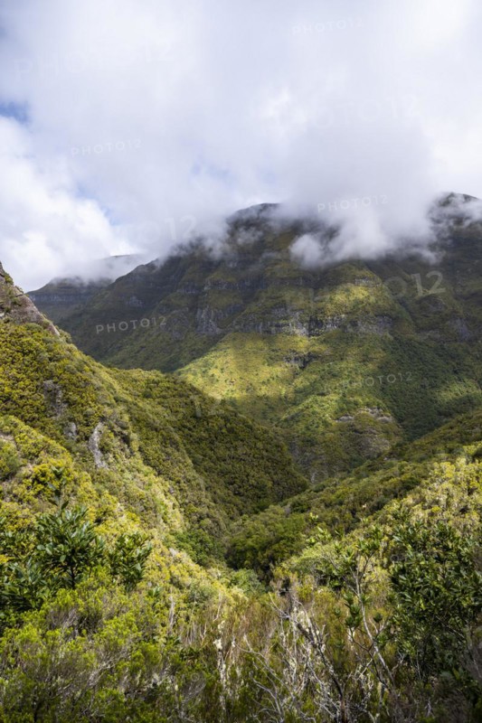Green forest and hills of Rabacal, Paul da Serra, Madeira, Portugal, Europe