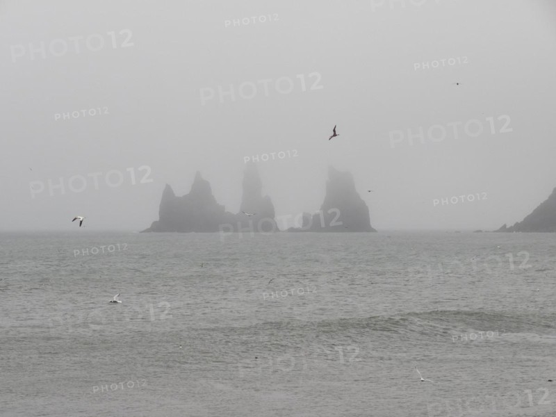 Rainy atmosphere, cliff in the fog, rock Reynisdrangar in the water, at Reynisfjara beach, Vik, South Iceland, Iceland, Europe