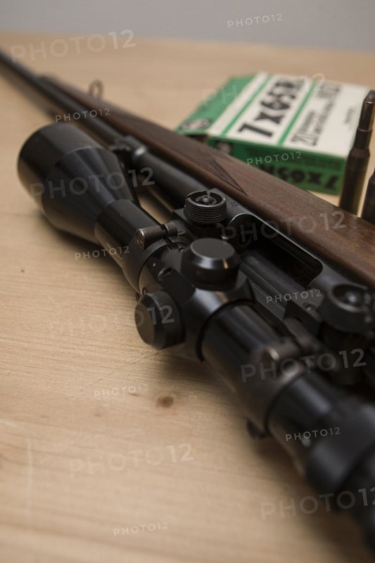 Decorated hunting weapons with ammunition, hunting license and gun ownership card and, Hesse, Germany, Europe