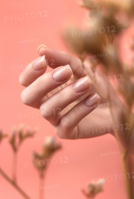 Gentle neat manicure on female hands on a background of dry flowers. Nail design