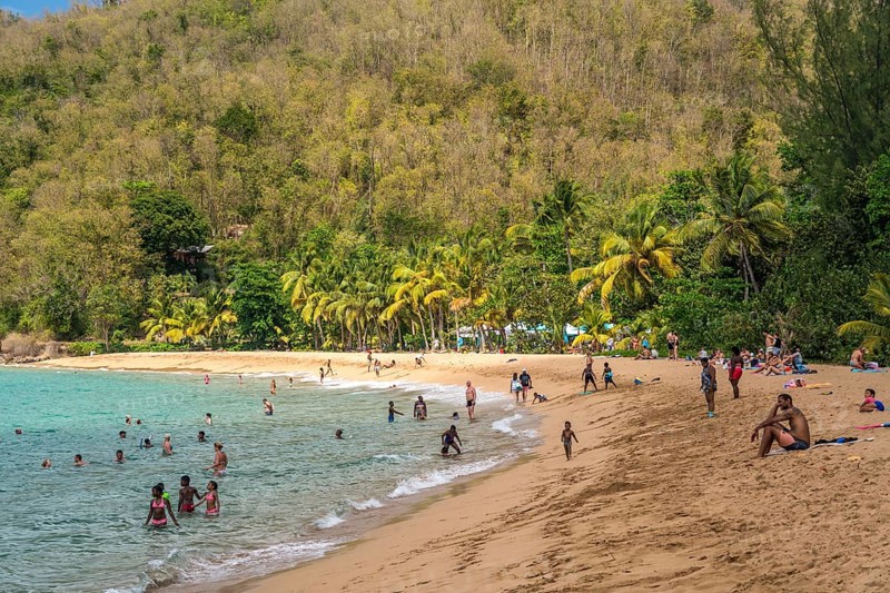 At the beach Plage de Grande Anse near Deshaies in the north of Basse-Terre, Guadeloupe, France, North America