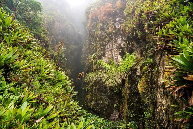 Ravine at La Soufriere Volcano, Basse-Terre, Guadeloupe, France, North America