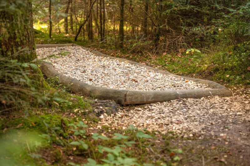 Barefoot Park in the Forest, Schoemberg, Black Forest, Germany, Europe